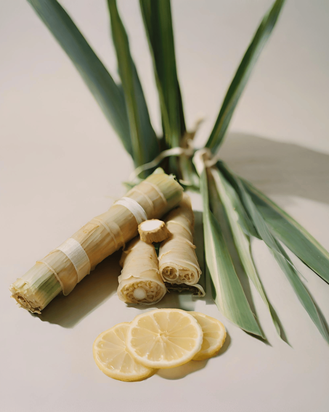 Lumânare parfumată Amber - Cosy Morning - Lemongrass • Ghimbir • Vanilie